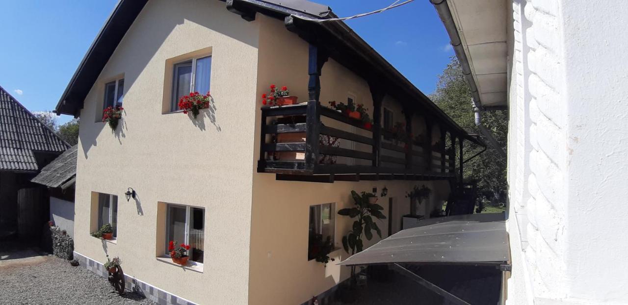 Pensiunea Casa Godja Văleni 外观 照片