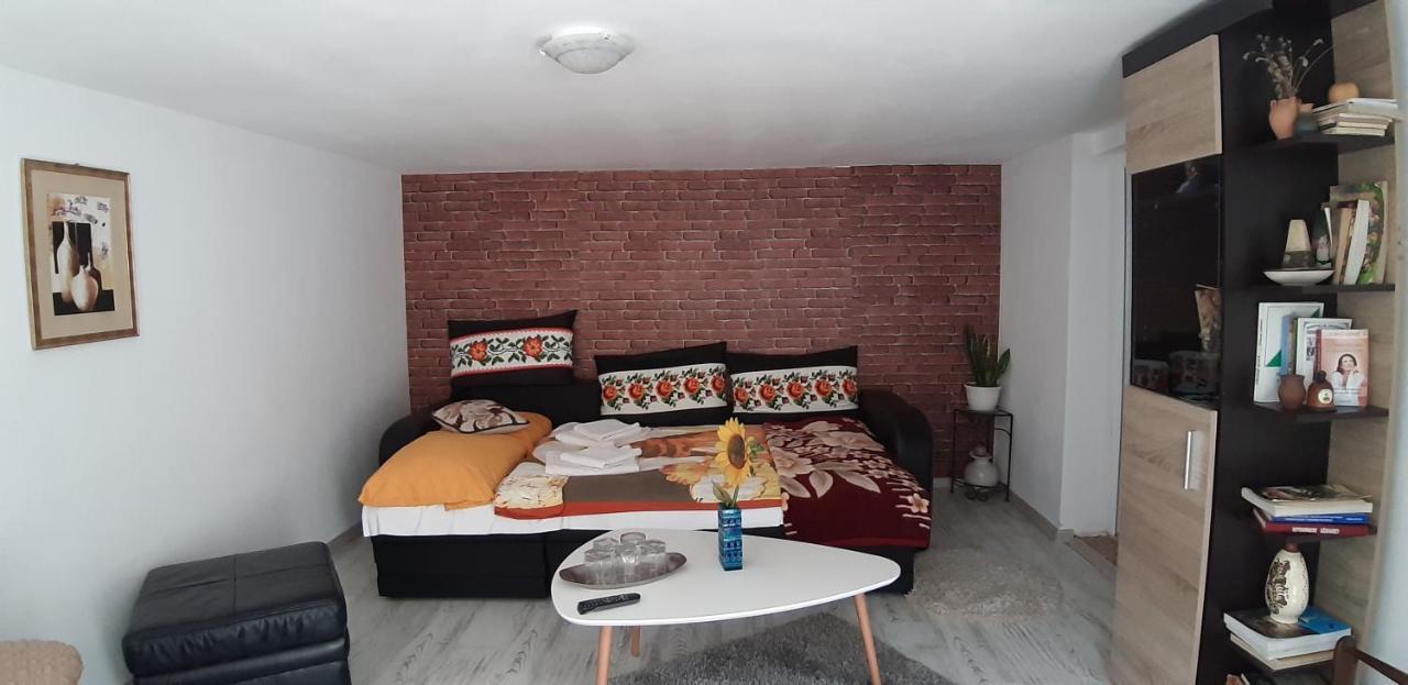 Pensiunea Casa Godja Văleni 客房 照片