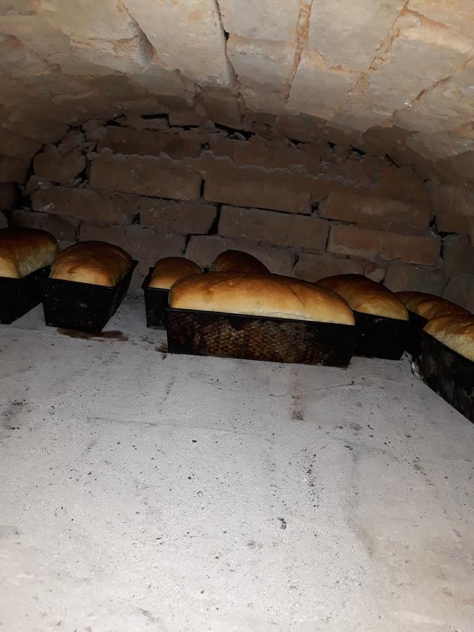 Pensiunea Casa Godja Văleni 外观 照片
