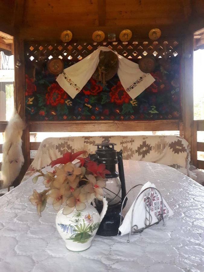 Pensiunea Casa Godja Văleni 外观 照片