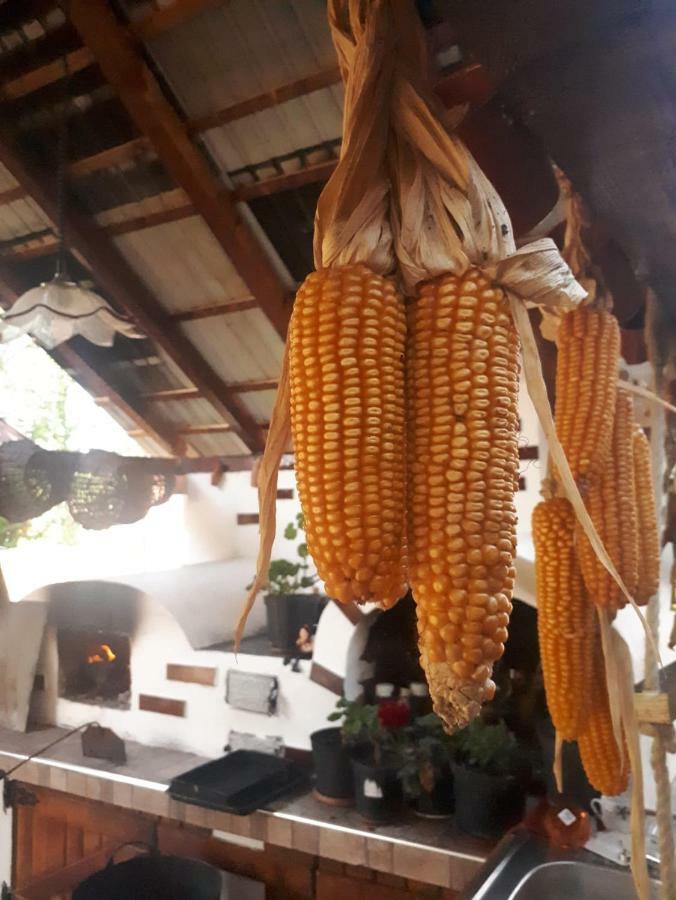 Pensiunea Casa Godja Văleni 外观 照片