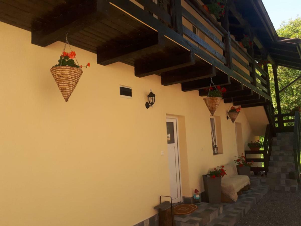Pensiunea Casa Godja Văleni 外观 照片